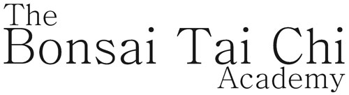 new logo